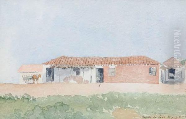 Ferme A Capao Do Leao (bresil) Oil Painting by Louis Victor Marie Billiard