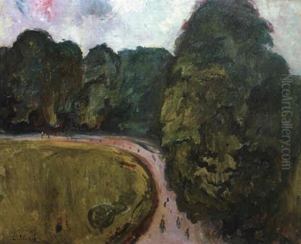 Park I Kosen Oil Painting by Edvard Munch