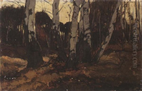 Birchtrees Oil Painting by Xeno Muenninghoff