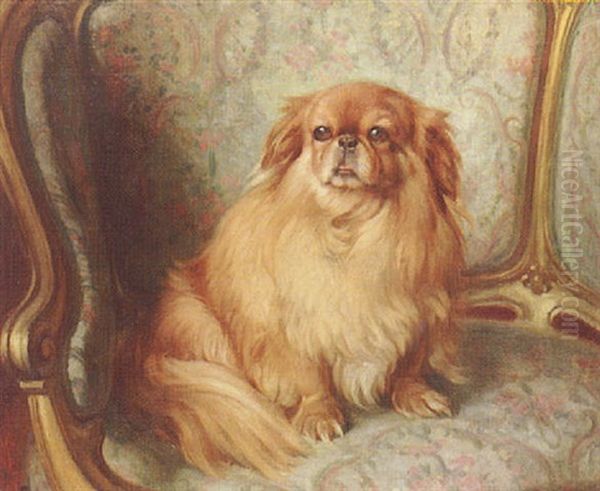 A Pekingese Oil Painting by John Bernard Munns