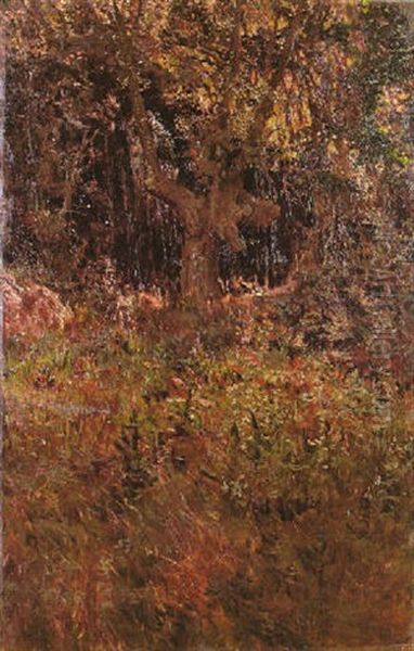 Bosque En Primavera Oil Painting by Antonio Munoz Degrain