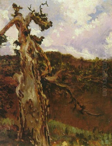 El Arbol Seco Oil Painting by Antonio Munoz Degrain