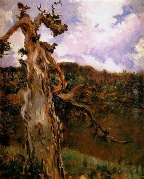 Paisaje Con Arbol Oil Painting by Antonio Munoz Degrain