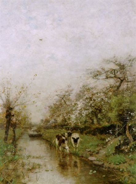 Kuhe Am Kanal Unter Bluhenden Obstbaumen Oil Painting by Ludwig Munthe