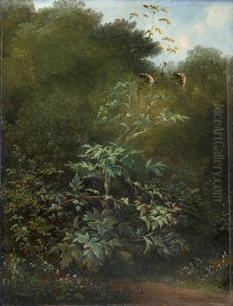 Wiesenstuck Mit Barenklau Und Einer Brombeerranke Oil Painting by Jean-Baptiste Muntzberger