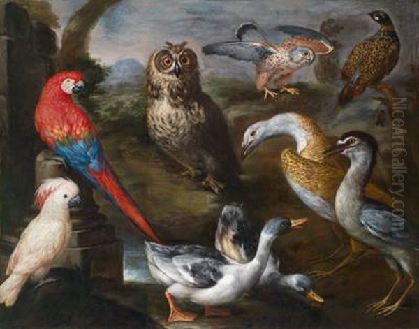 Exotische Vogel In Denvolieren Grosherzog Cosimos Iii. Von Toskana: Enten Oil Painting by Bartolommeo Bimbi