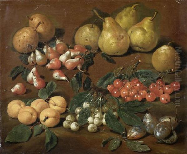 Fruits: Pears, Apricots, Cherries
And Plums Oil Painting by Bartolommeo Bimbi