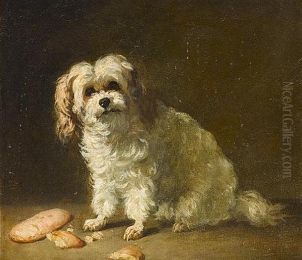 A Favourite Pet Oil Painting by Alphonse Muraton