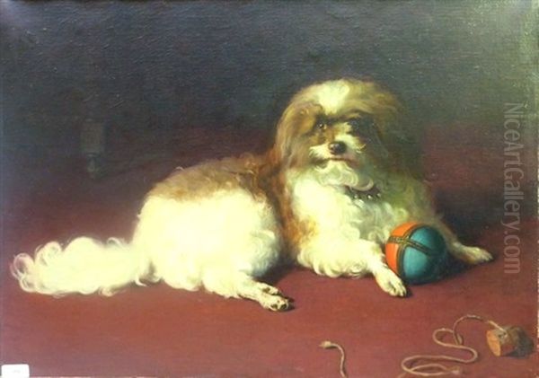 Chien Posant Avec Sa Balle Et Son Bouchon Oil Painting by Euphemie Muraton