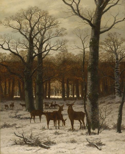 Rotwild Im Winterwald Oil Painting by Caesar Bimmermann