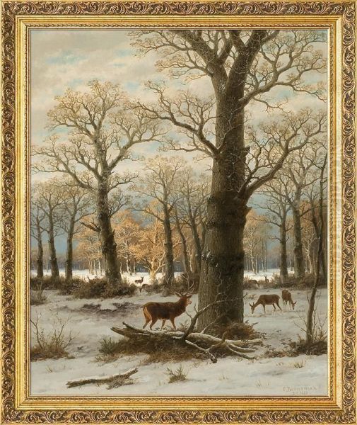 Roe-deers In Winter Oil Painting by Caesar Bimmermann