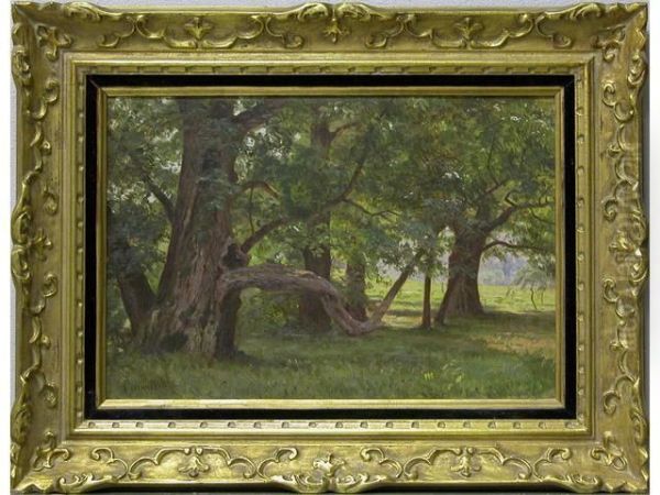 Sous-bois Oil Painting by Emile Bin