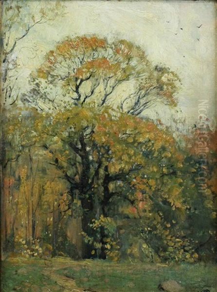 Tree Oil Painting by Hermann Dudley Murphy