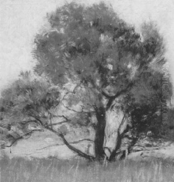 The Old Climbing Tree Oil Painting by Hermann Dudley Murphy