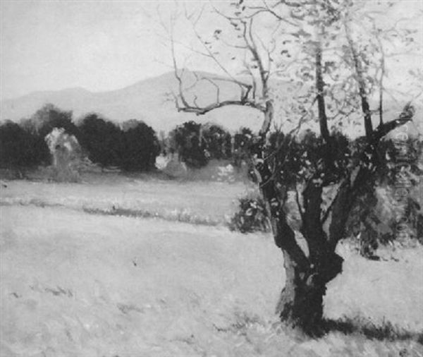 Fields Below Mount Monadnock Oil Painting by Hermann Dudley Murphy