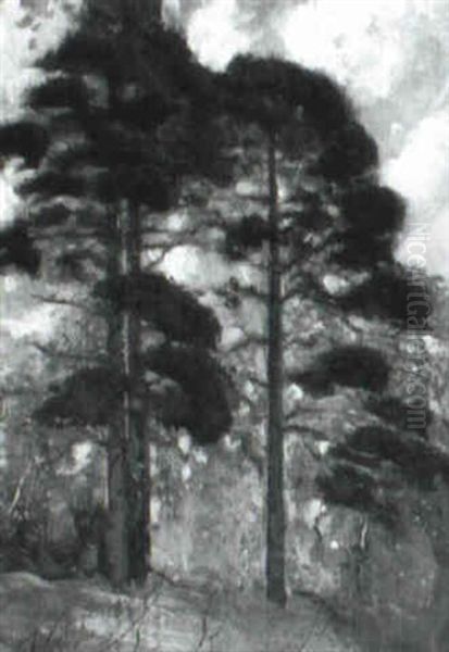 Pine Trees Oil Painting by Hermann Dudley Murphy