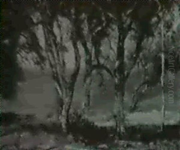 Trees Oil Painting by Hermann Dudley Murphy