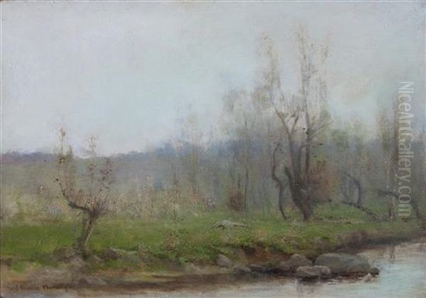 Trees By River by John Francis Murphy