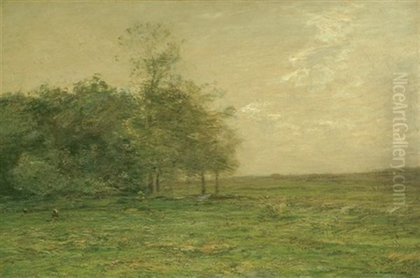 Copse And Field Oil Painting by John Francis Murphy