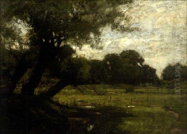 Green Meadows With Willow Tree by John Francis Murphy