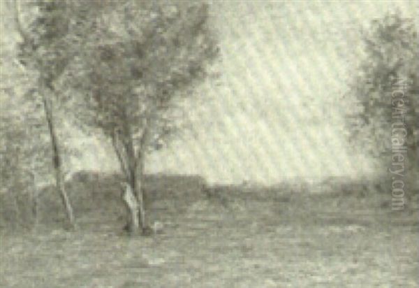 Trees In A Summer Meadow Oil Painting by John Francis Murphy