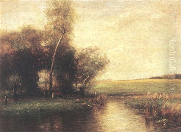 Stream Near A Forest Clearing Oil Painting by John Francis Murphy