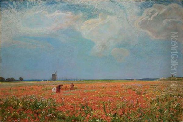 Flowers Of The Field Oil Painting by David Murray