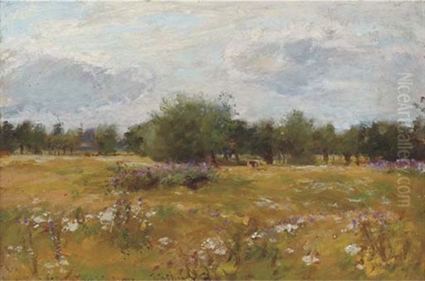 A Summer Meadow by Sir David Murray