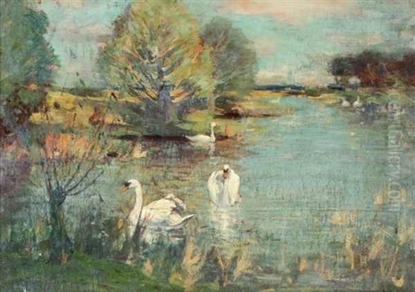 The Swan Lake Oil Painting by Sir David Murray