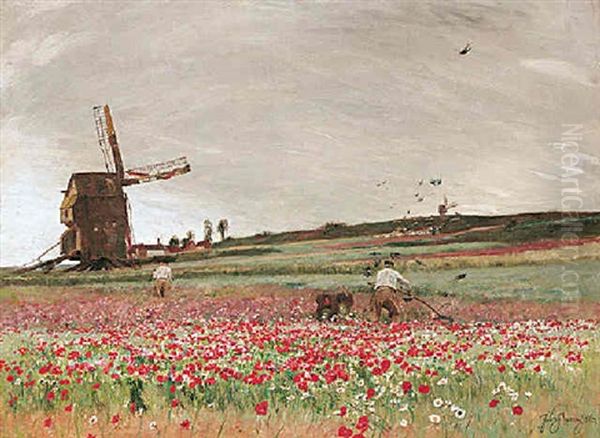 The Poppy Field Oil Painting by Sir David Murray