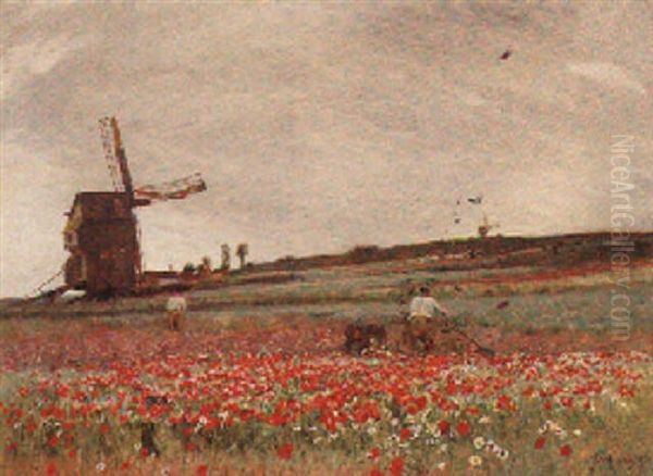 The Poppy Field Oil Painting by Sir David Murray