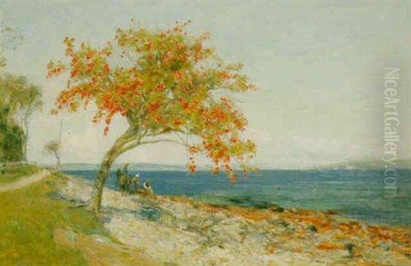 The Mediterranean Coast Oil Painting by Sir David Murray