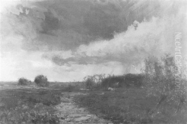 A Storm On The Marais-picardy Oil Painting by Sir David Murray