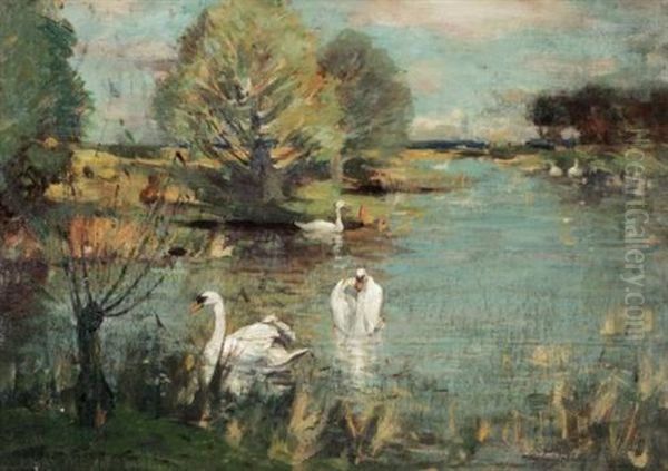 The Swan Lake Oil Painting by John Reid Murray