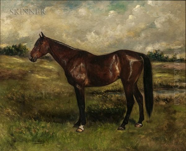 Portrait Of A Thoroughbred Oil Painting by Gustav Muss-Arnolt