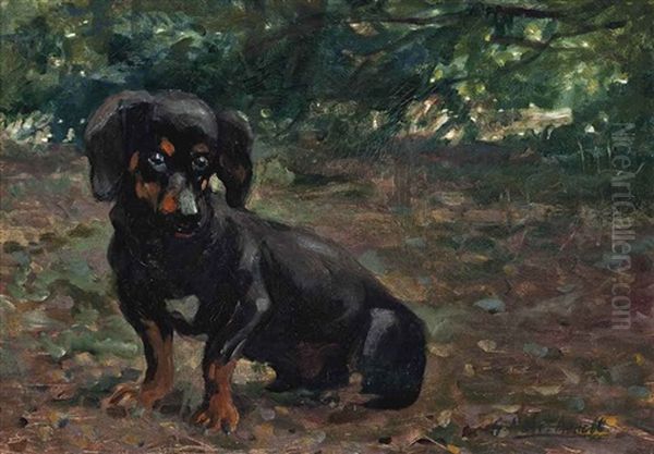 A Dachshund In A Sunlit Wood Oil Painting by Gustav Muss-Arnolt