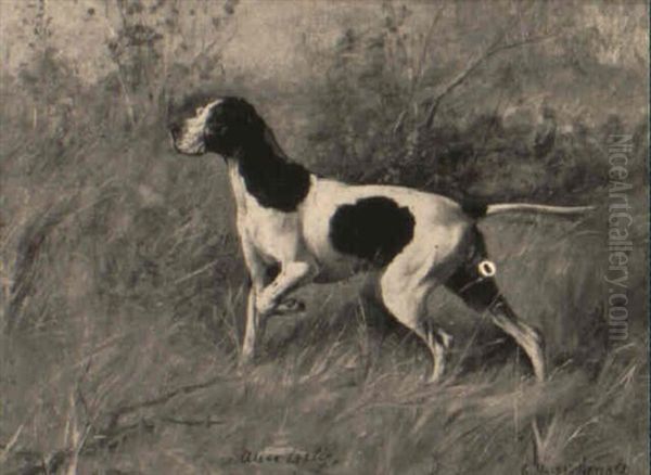 Champion Devonshire Dan by Gustav Muss-Arnolt