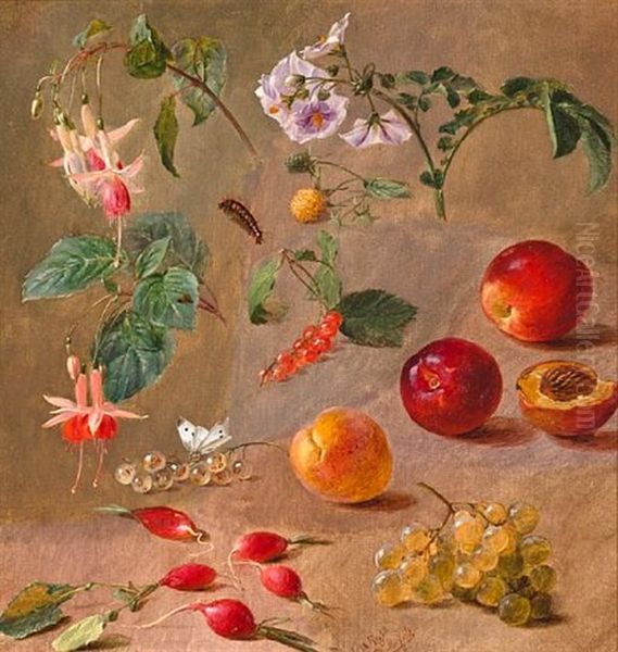 Fruit, Flowers And Insects (study) Oil Painting by William Mussill