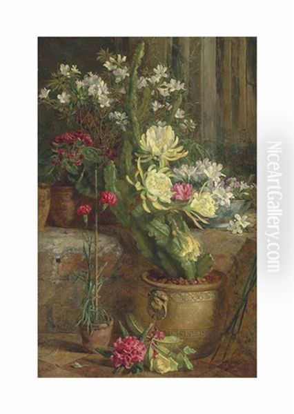 The Flowering Cactus Oil Painting by Anne Ferray Mutrie