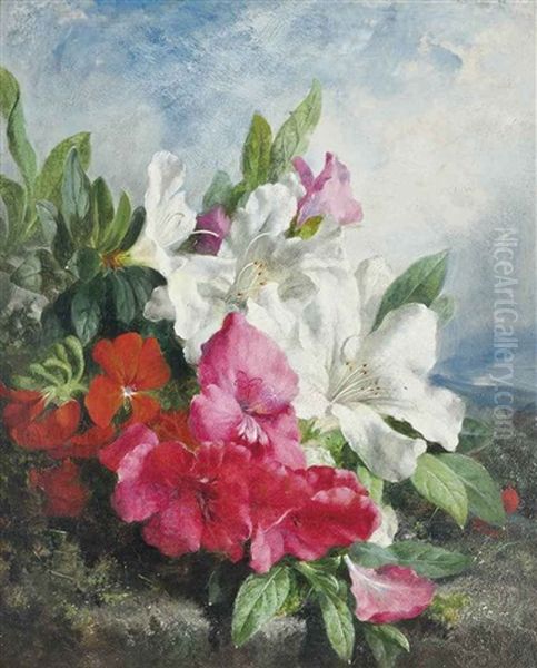 Rhododendrons Oil Painting by Martha Darley Mutrie