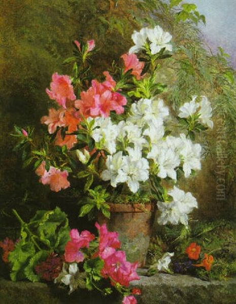 Still Life With Pink And White Azaleas Oil Painting by Martha Darley Mutrie