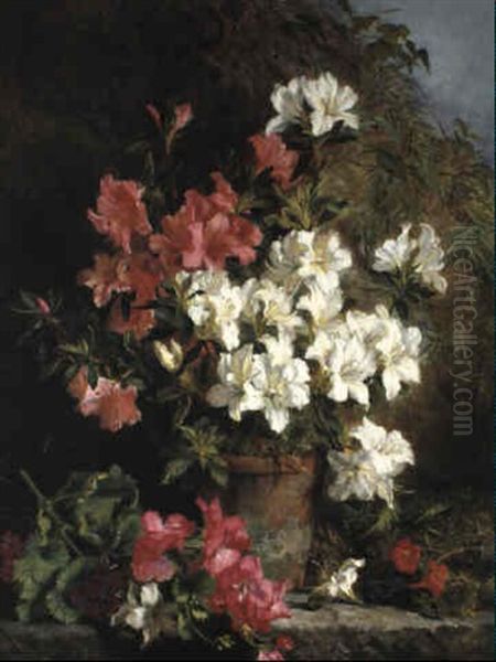 Still Life With Azaleas Oil Painting by Martha Darley Mutrie