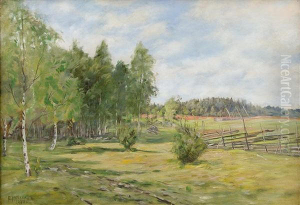 Birch Trees In A Summer Landscape Oil Painting by Elias Muukka