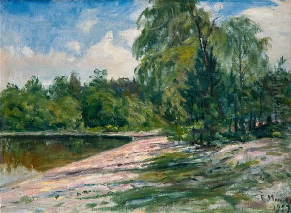 View From The Shore Oil Painting by Elias Muukka