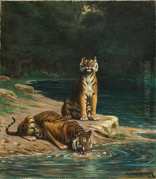 Zwei Tiger An Einer Wasserstelle Im Schattigen Unterholz Oil Painting by Evert Louis van Muyden