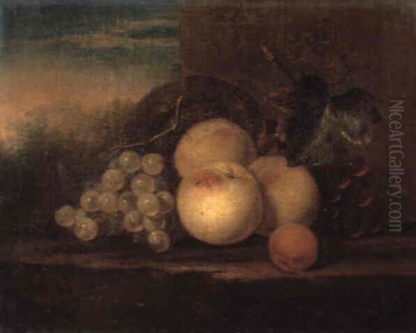 Still Life Of Peaches, Grapes, Vines And A Basket On A Stone Ledge Oil Painting by Herman van der Myn