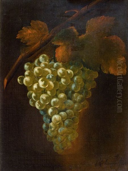 Weintraube Oil Painting by Robert Van Der Myn