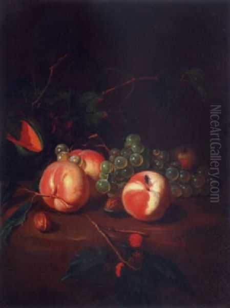 Peches Et Raisins Sur Un Entablement Oil Painting by Robert Van Der Myn