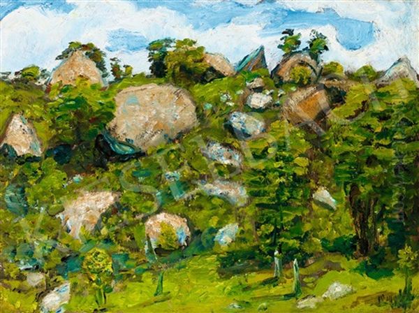 Sunny Hill-side Oil Painting by Istvan Nagy