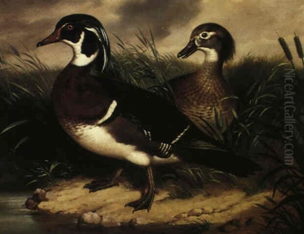 Wood Ducks Oil Painting by Hugo William Arthur Nahl